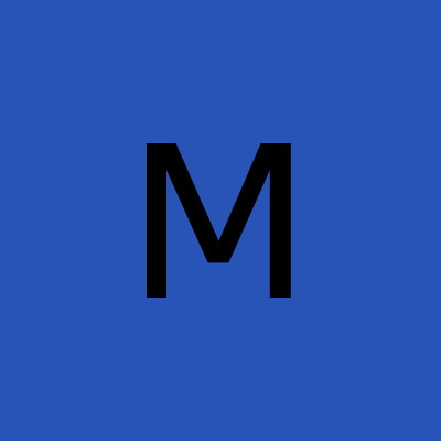 Meticulous 1